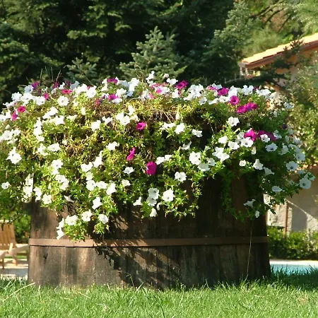 ベッド・アンド・ブレックファスト La Terrazza Sulla Versilia *