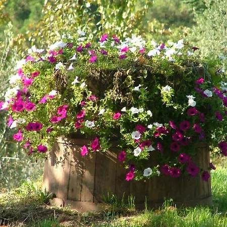 La Terrazza Sulla Versilia