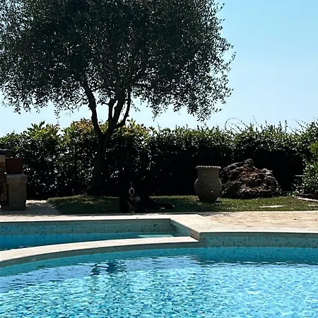 La Terrazza Sulla Versilia ベッド・アンド・ブレックファスト