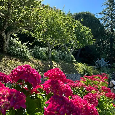 La Terrazza Sulla Versilia *