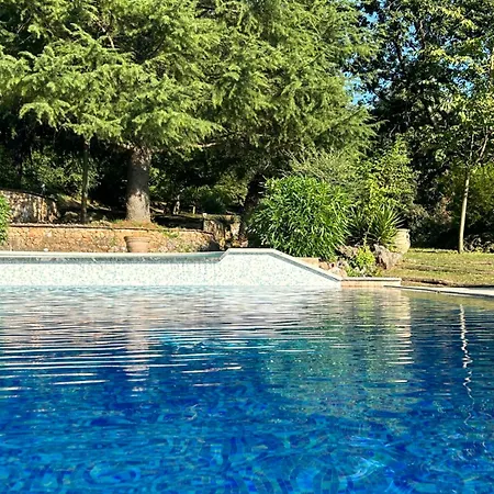 La Terrazza Sulla Versilia Bed & Breakfast *
