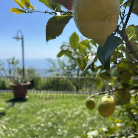 La Terrazza Sulla Versilia 4*